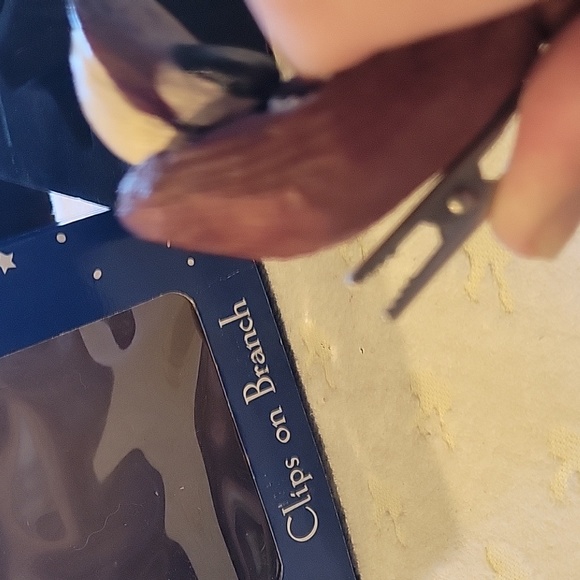 Songbird Ornaments, Set of 2, boxed.Clip on branches - Picture 4 of 5